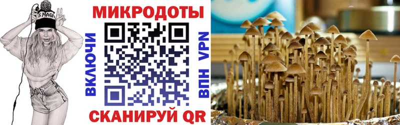 купить  сайты  Батайск  KRAKEN рабочий сайт  Галлюциногенные грибы мицелий 
